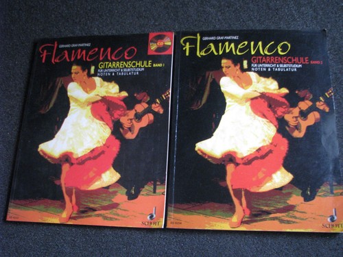 Flamenco-Gitarrenschule
